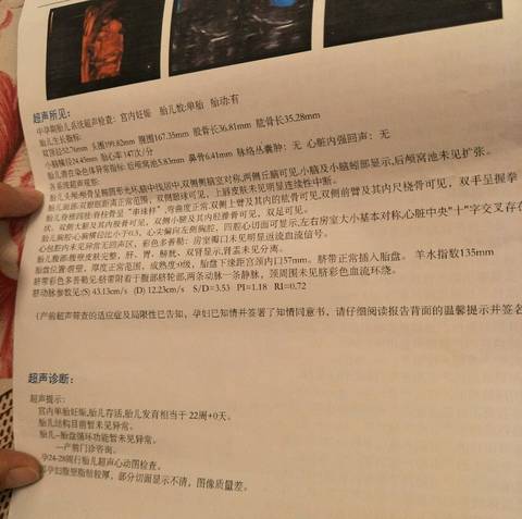journal_insert_pic_1173629418