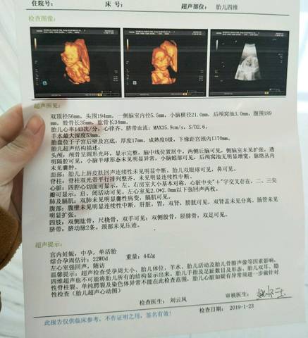 journal_insert_pic_1173542809