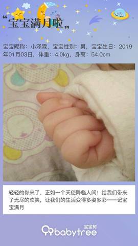 journal_insert_pic_1173873213