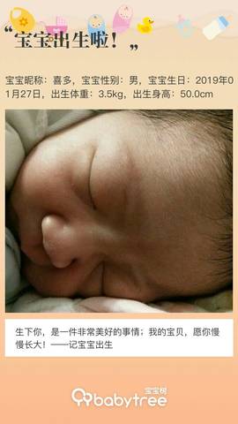 journal_insert_pic_1174790564