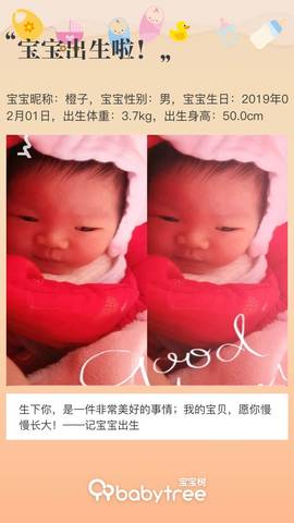 journal_insert_pic_1175633165