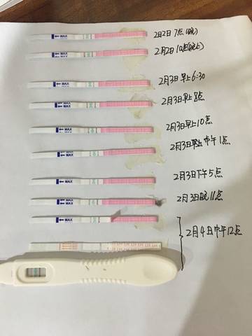 journal_insert_pic_1175559826