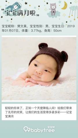 journal_insert_pic_1176149312
