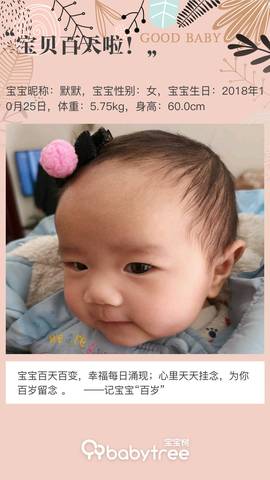 journal_insert_pic_1176154071