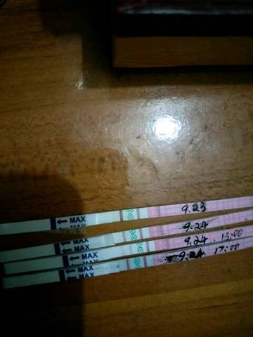 journal_insert_pic_1176250942