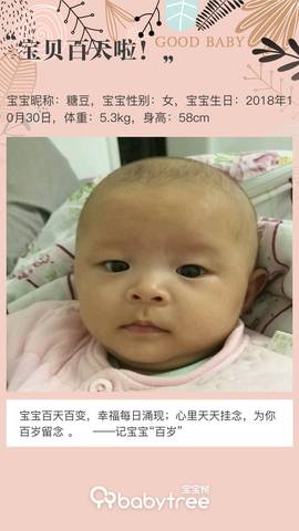journal_insert_pic_1177775622