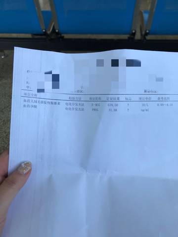journal_insert_pic_1181129618