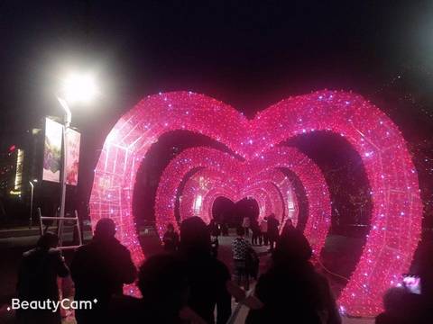 journal_insert_pic_1181235832