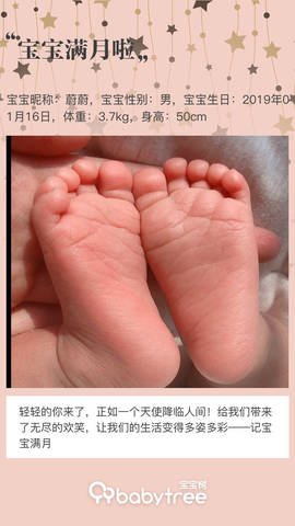 journal_insert_pic_1181252129