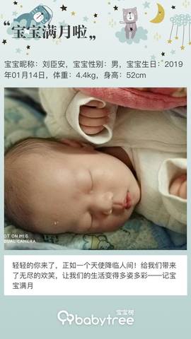 journal_insert_pic_1182034299