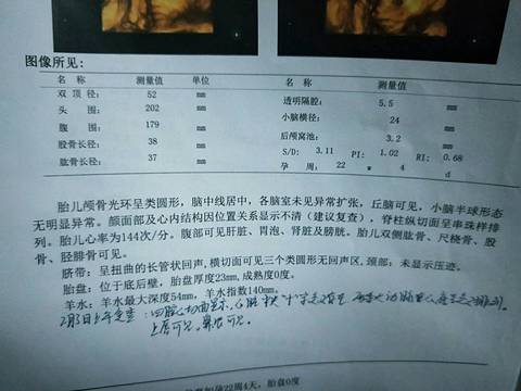 journal_insert_pic_1183297131