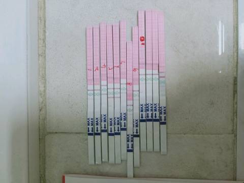 journal_insert_pic_1183082122