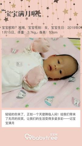 journal_insert_pic_1182735703