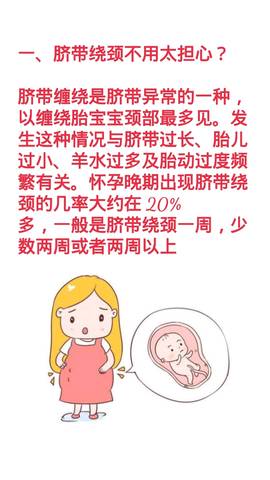journal_insert_pic_1182916564