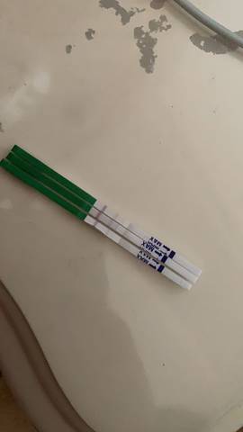 journal_insert_pic_1183373919