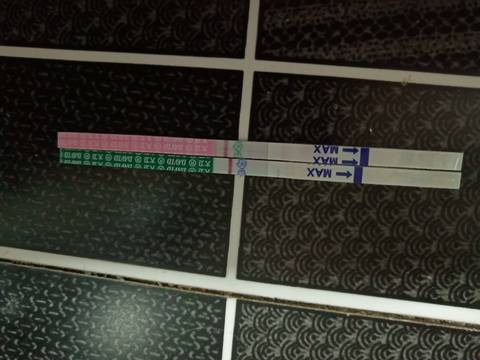 journal_insert_pic_1183565416
