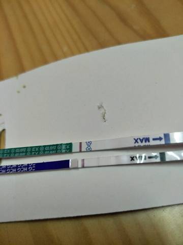 journal_insert_pic_1183442715