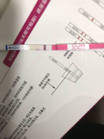 journal_insert_pic_1184728424