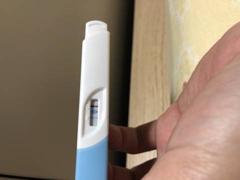 journal_insert_pic_1184803787