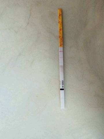 journal_insert_pic_1185818632