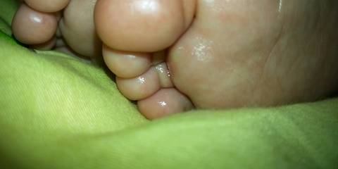 journal_insert_pic_1186045690