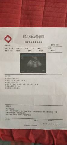 journal_insert_pic_1186130701
