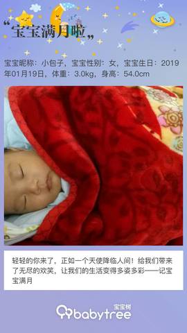 journal_insert_pic_1186113645