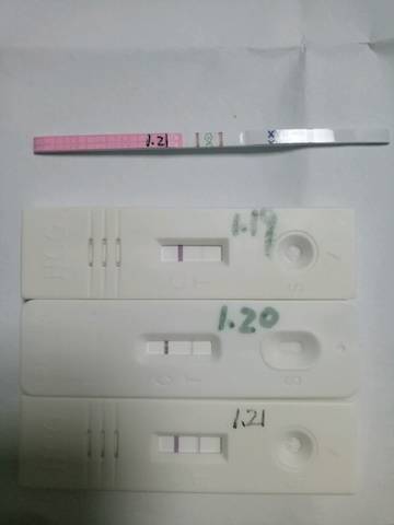journal_insert_pic_1186688643
