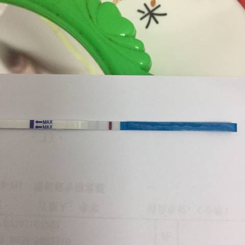 journal_insert_pic_1186643166