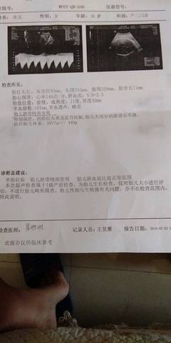 journal_insert_pic_1186986200