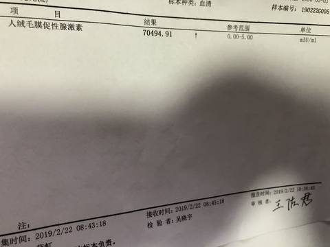 journal_insert_pic_1186961508