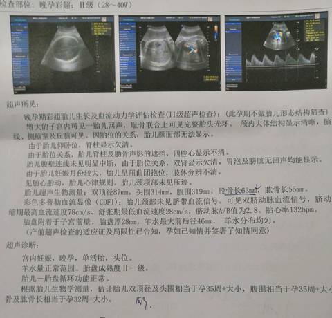 journal_insert_pic_1187571669