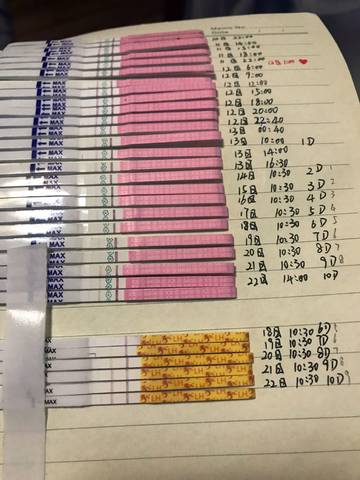 journal_insert_pic_1187654006