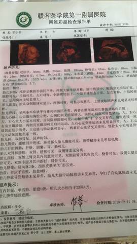 journal_insert_pic_1188126649