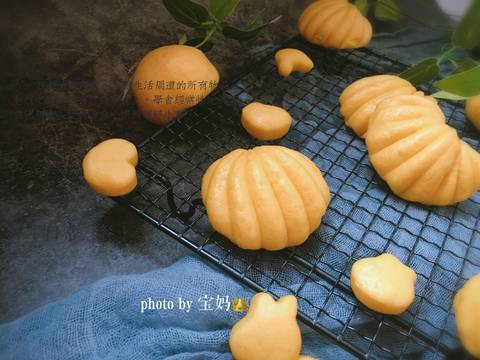 journal_insert_pic_1188320498
