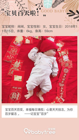 journal_insert_pic_1188876899