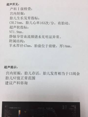 journal_insert_pic_1188589626