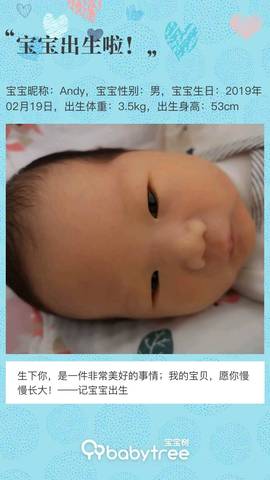 journal_insert_pic_1189064093