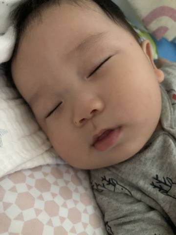 journal_insert_pic_1189553915