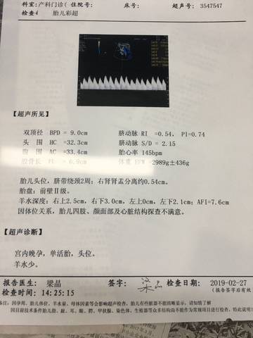 journal_insert_pic_1189942811