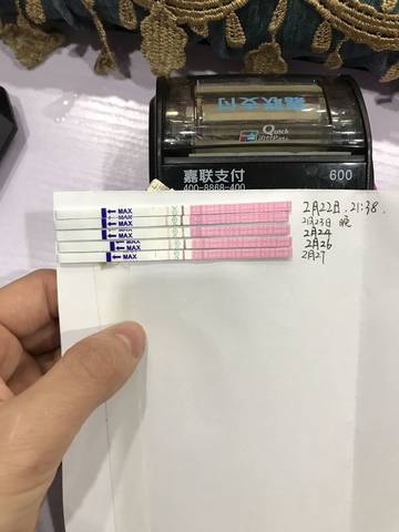 journal_insert_pic_1190054101