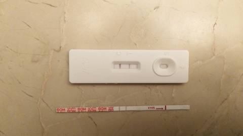 journal_insert_pic_1190201167