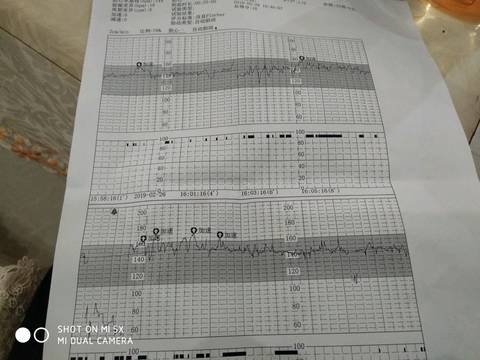 journal_insert_pic_1190566924