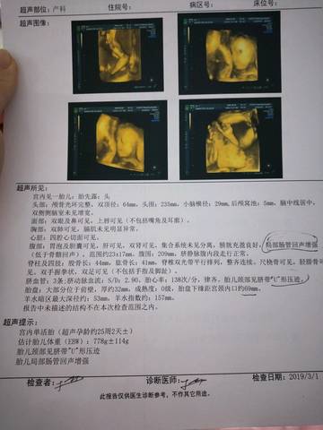 journal_insert_pic_1191108020