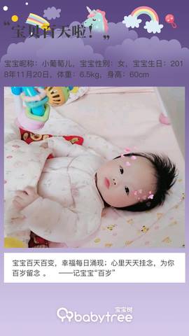 journal_insert_pic_1190848519