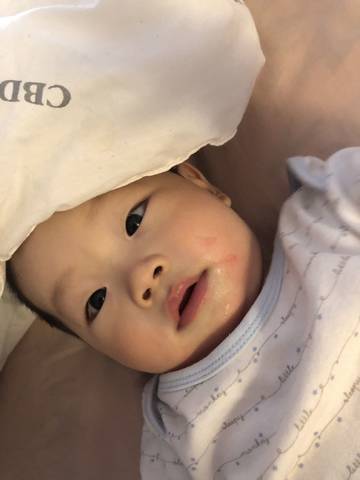 journal_insert_pic_1191058722