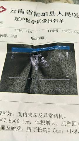 journal_insert_pic_1191798873