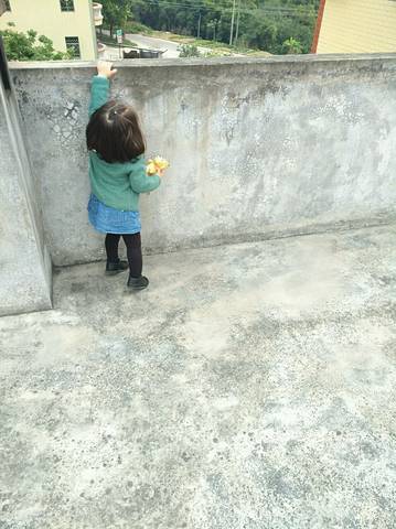 journal_insert_pic_1191370467