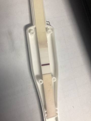 journal_insert_pic_1192789617
