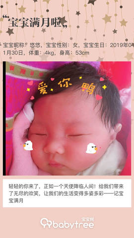 journal_insert_pic_1193388840